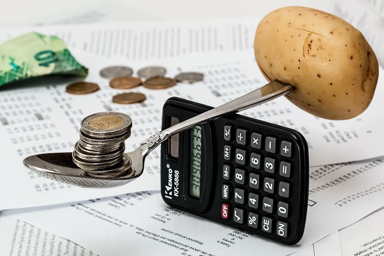 Photo showing coins, calculator and budget.