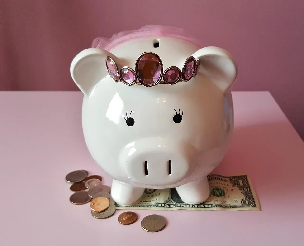 Photo showing piggy bank, pig, piggy and pink.