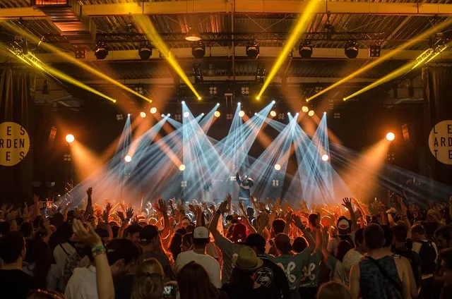 Photo showing audience, band and concert.
