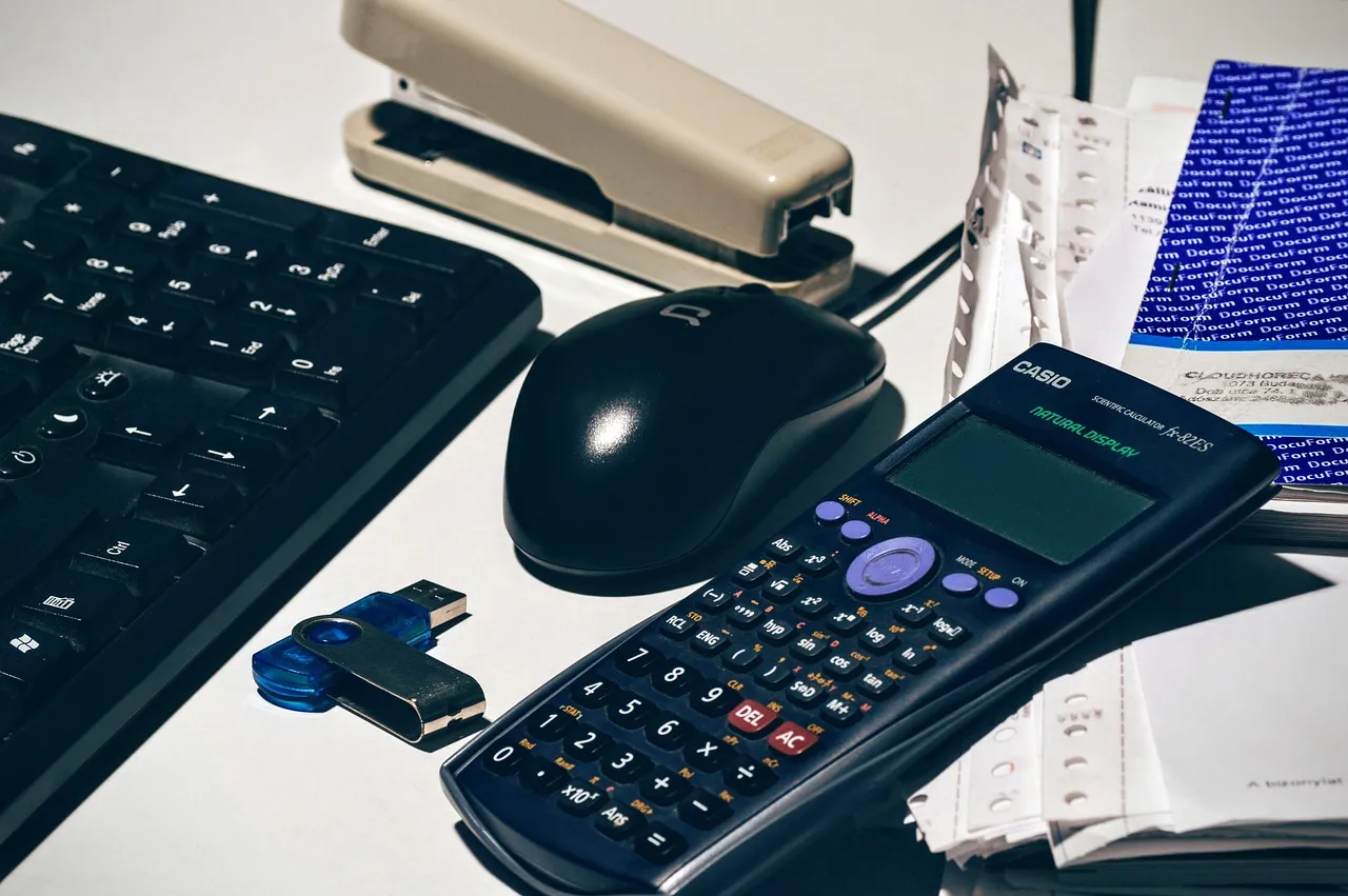 Photo showing accounting, flash drive, keyboard and mouse.