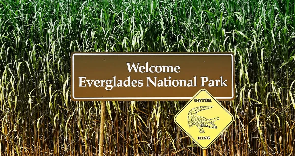 Photo showing sign, everglades, america and caution.