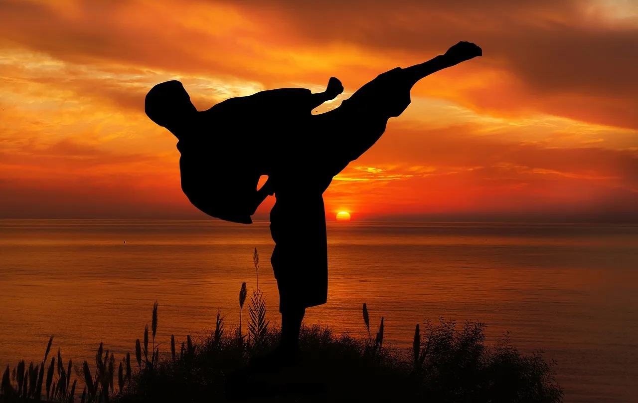 Photo showing sunset, sport, karate and competition.