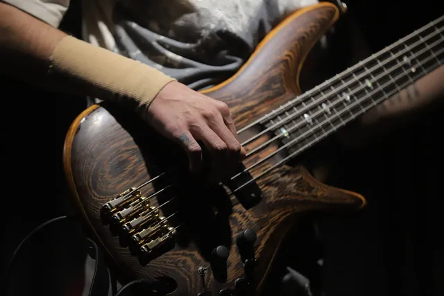 Photo showing bass guitar, musical performance and concert.