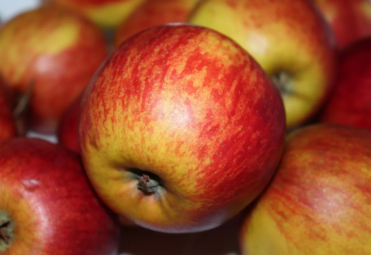 Photo showing fruit, food, juicy and health.