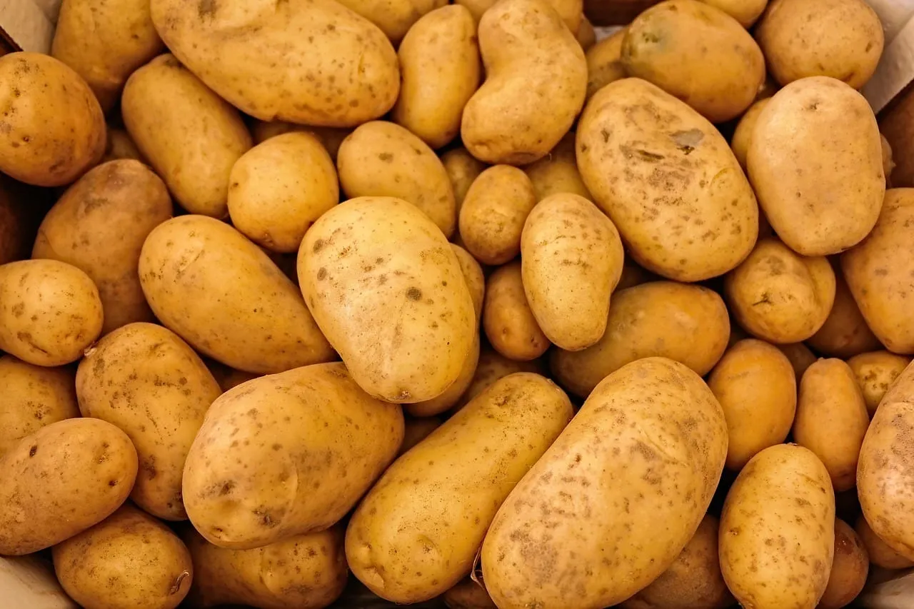Photo showing potatoes, vegetables and food.