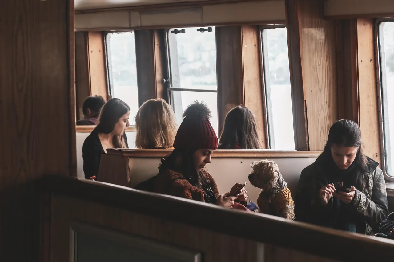 Photo showing passengers, dog, travel and trip.